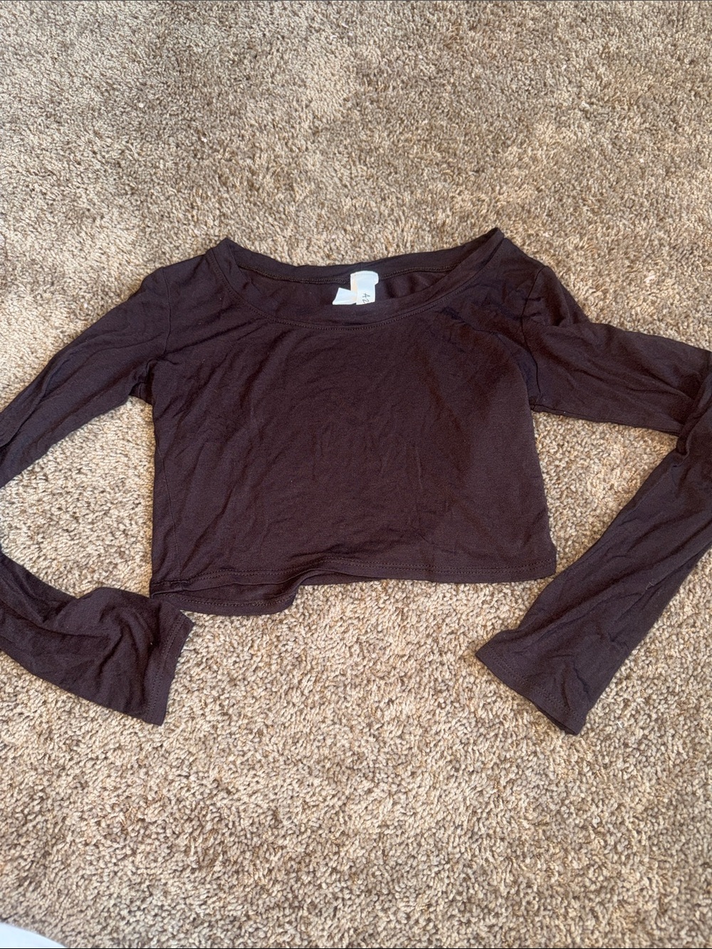 Azy brown cropped long sleeve top